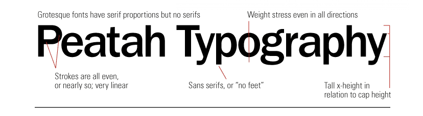 Grotesque traits image