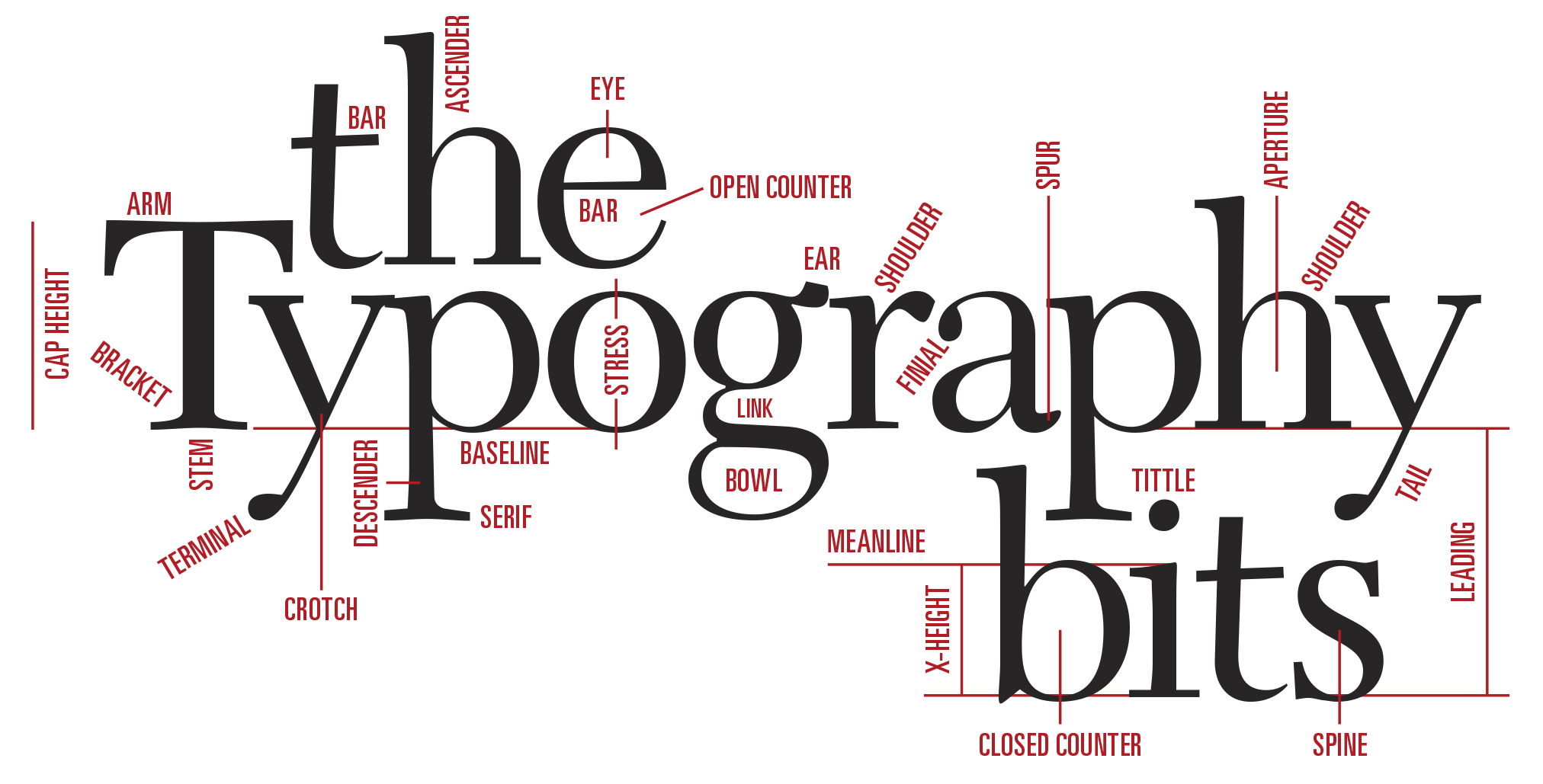 Type anatomy diagram